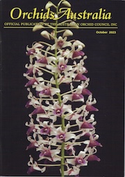 cover 2023 October