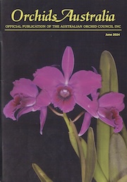 cover 2024 June